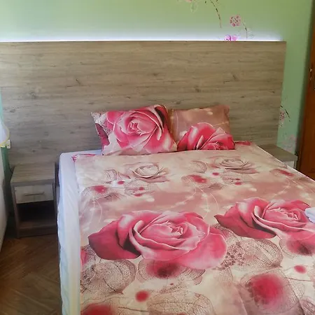 Apartment Roza Wiatrow *